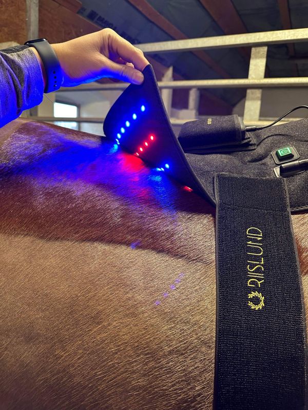 Riislund Light Therapy BLUE Pro - BESTILLINGSVARE