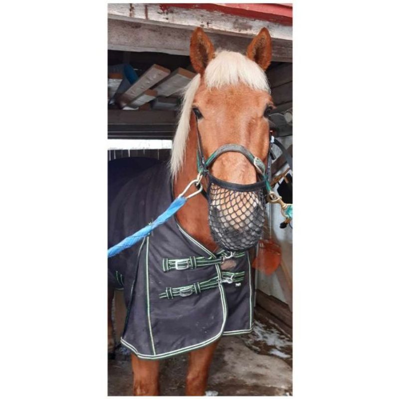 Pullernett Star Tack