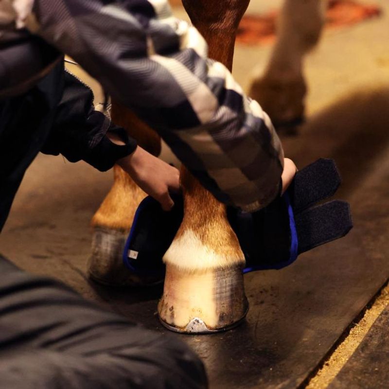 Cooling hoofboots