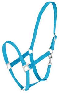 Hovedbilde Grime Hippo