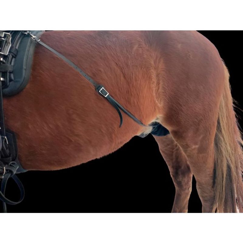 Hingstesusp