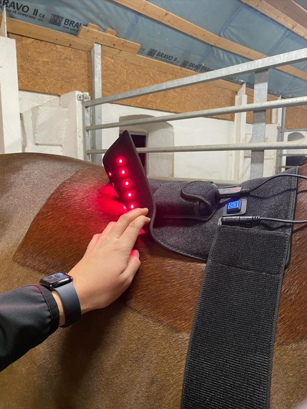 Riislund Light Therapy RED Pro 