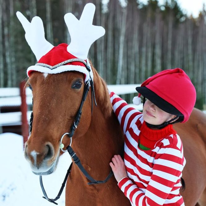 Hovedbilde Julehette med horn