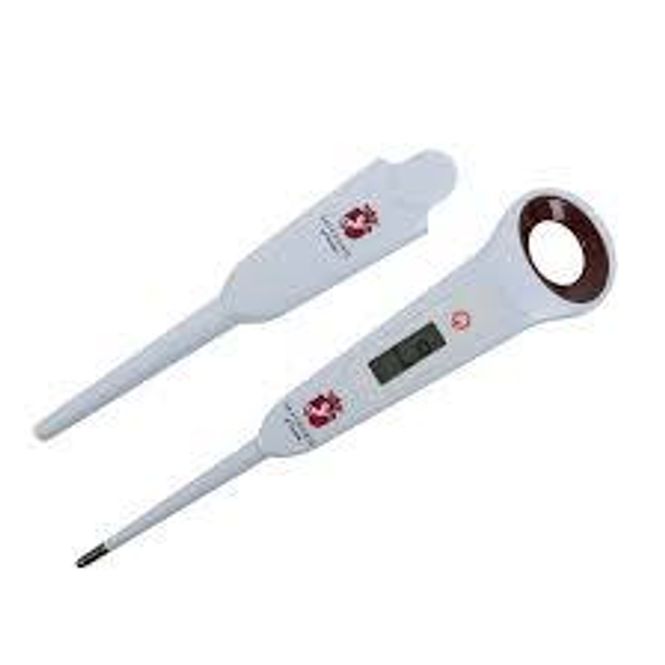 Hovedbilde Safehorse Termometer 