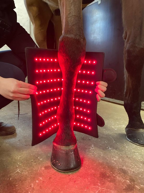 Riislund Light Therapy MIX Pro 