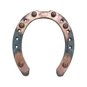 Hovedbilde Gullsko fram 18x6, hel eske