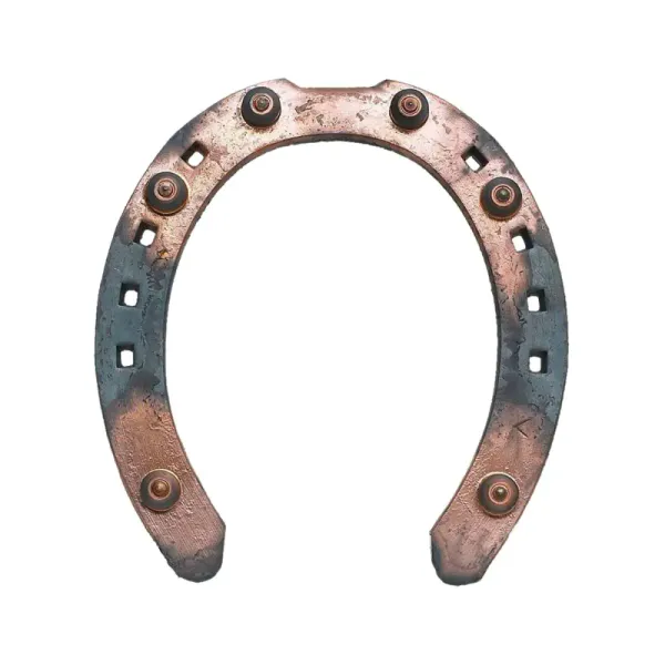 Gullsko fram 18x6, hel eske