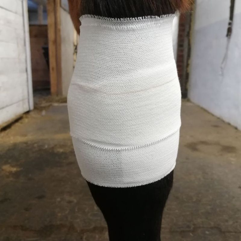 Dr.Horse Knee tape