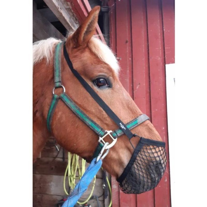 Pullernett Star Tack